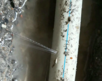 广灵卫生间测漏水多少钱